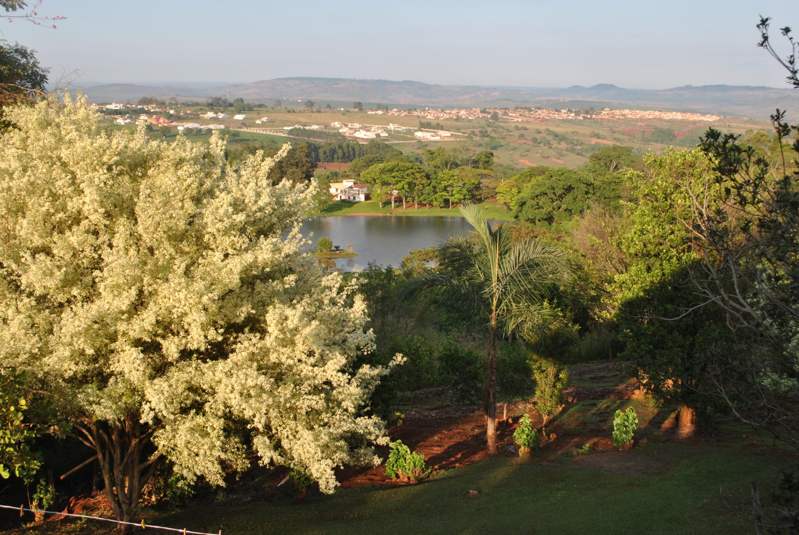A view from the house I grew up in. I miss that.